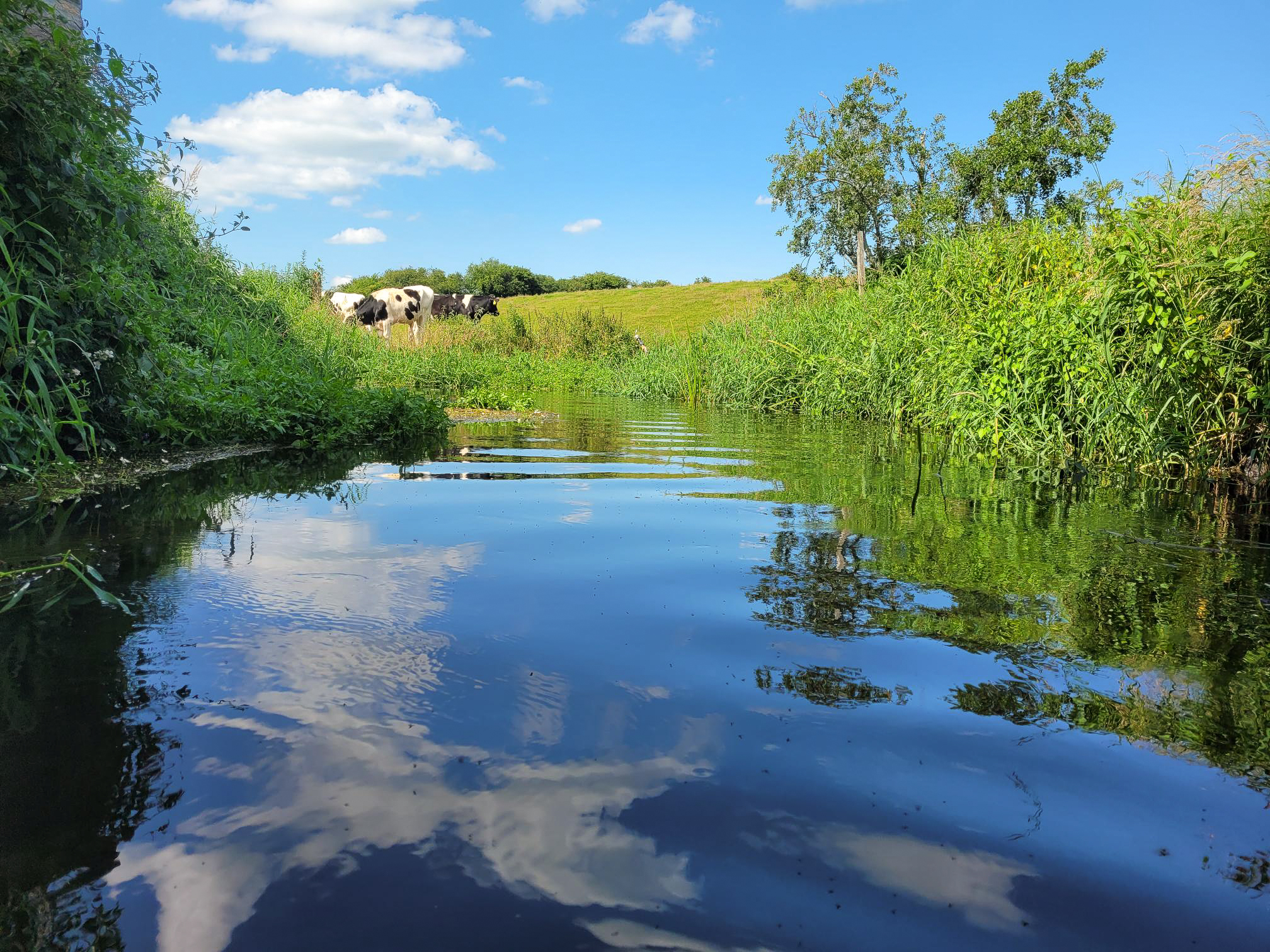Flood prevention