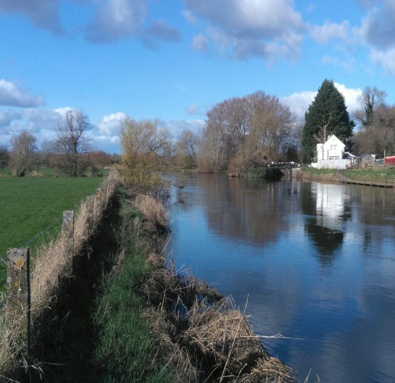 Site Image of Athy Flood Scheme